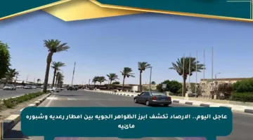 عاجل اليوم.. الأرصاد تكشف أبرز الظواهر الجوية بين أمطار رعدية وشبورة مائية